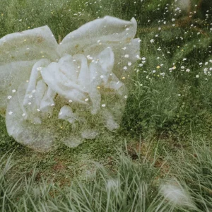 photographie d’auteur surimpression fleurs macro et paysage