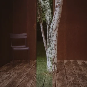 photographie contemporaine végétale en double exposition